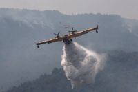 I fjol fick Algeriet hjälp av ett franskt brandbekämpningsplan vid en skogsbrand. Även den här sommaren rasar skogsbränder i landet.
