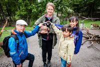 Linda Törngren ansvarar för djurskötarna och djuren på Skansen. Varje dag jobbar 16 djur­skötare med att hålla rent i hagarna och ge djuren mat.