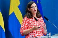 Mer fakta och mindre analys för yngre elever i de nya kursplanerna, berättar utbildningsminister Anna Ekström (S).