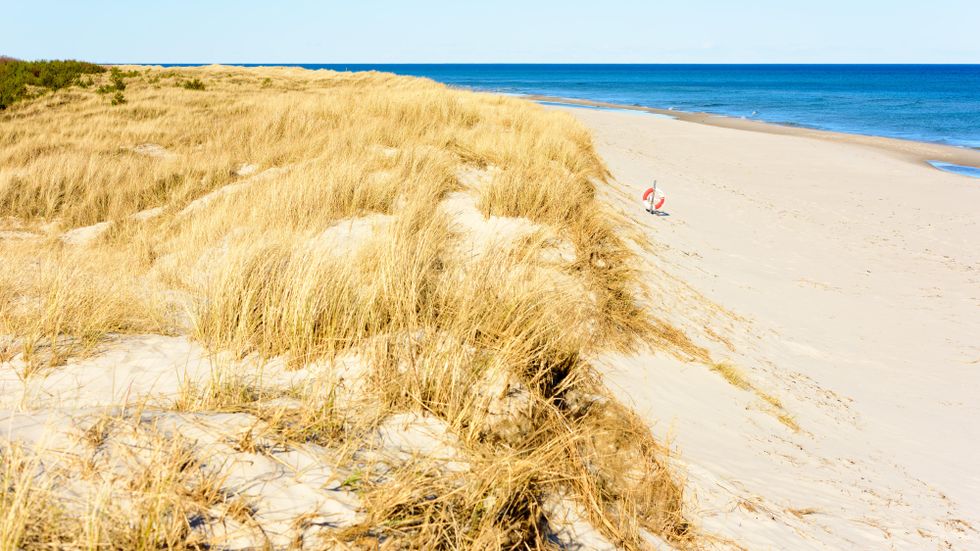 Sandhammaren i Skåne (bilden) eller Norsta Auren på Gotland? På "Beachwalkers" lista över Sveriges bästa stränder delar de förstaplatsen.