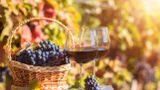 SvD Mat&Dryck har testat åtta nya viner ur Systembolagets ordinarie sortiment.