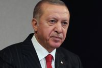 Erdogan stämmer författare i Sverige