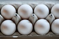 Fågelinfluensan har slagit hårt mot den svenska äggproduktionen. Arkivbild.