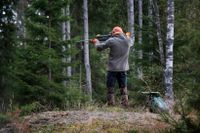 Varför genomdriva förslag som innebär att man ger sig på Sveriges 600 000 laglydiga jägare och sportskyttar?