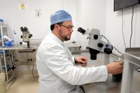 Doktor Jason Kofinas arbetar vid ett mikroskop som används vid in vitro-fertilisering.