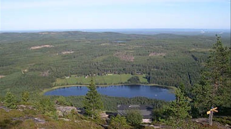 Den sexåriga flickan försvann vid Blacksås naturreservat. 