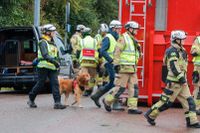 Räddningspersonal och sökhundar på plats vid E6 vid Stenungsund.