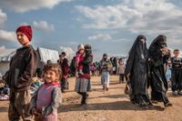 Den svenska barnen som är fast i al-Hol-lägret i Syrien riskerar att radikaliseras, enligt FN-utredaren Hanny Megally. Hans uppfattning är att Sverige bör ta hem barnen med sina mammor.