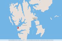 Tjugo personer skadades när en turistbåt körde in i kajen i Barentsburg på Svalbard.