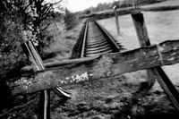 Järnvägsspår som användes för att föra judiska fångar till förintelselägret i Sobibór.