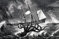 Den gigantiska bläckfisken ”kraken”, ett havsmonster som länge förekom i nordisk fiskar- och sjömanstradition.