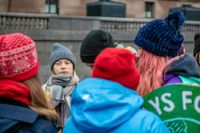 Greta Thunberg är tillbaka i Sverige igen efter att under hösten ha medverkat på två stora klimatmöten.