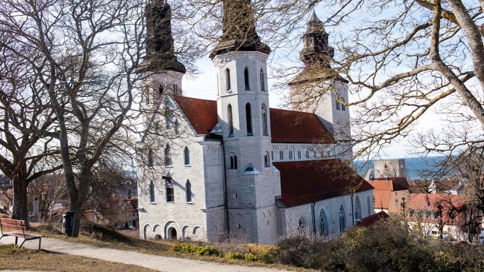 Biskopen i Visby har i sin tillsyn över stadens domkyrkoförsamling pekat på flera brister. Församlingsledningen avvisar biskopens tillsyn och vill ha medling från nationell nivå.