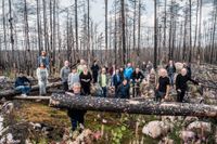 ”Det känns konstigt att vara tillbaka här”, säger skådespelaren Jacob Eriksson (till vänster i bakgrunden i grå skjorta) när SvD fotograferar ensemblen i naturreservatet Hälleskogsbrännan som brann för fyra år sedan.