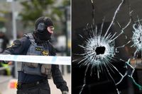 Fram till mitten av december i år dödades 11 personer i cirka 100 skjutningar i Stockholmsregionen.