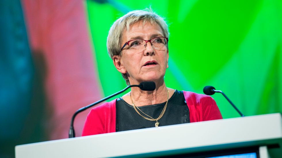 Kerstin Lundgren, utrikespolitisk talesperson för Centerpartiet.