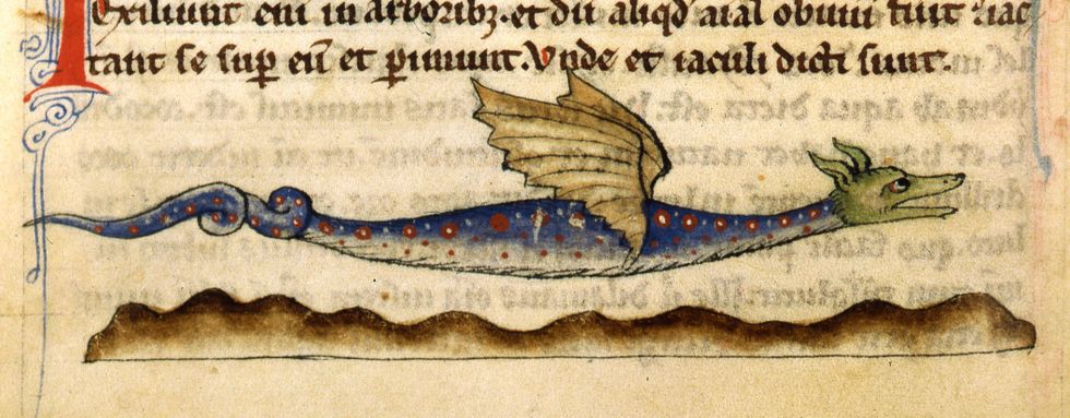 Flygande drake från verket ”De natura animalium” av Claudius Aelianus, (c. 175–c. 235)