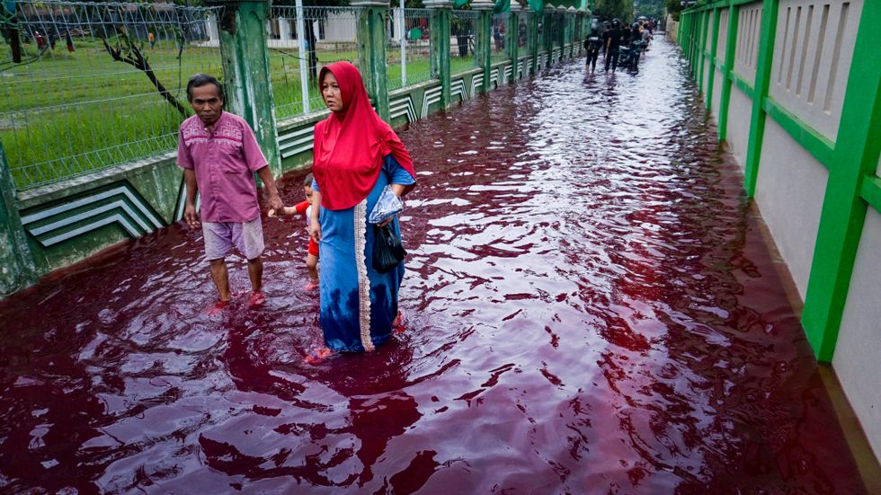 Den indonesiska byn Jenggot på Java översköljdes 6 februari 2021 av blodrött vatten sedan en översvämning drabbat en fabrik för batikfärgning.