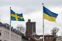 Lika mycket av solidaritet som av egenintresse behöver Sverige bistå Ukraina med alla medel som står till buds.