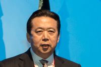 Interpolchefen Meng Hongwei greps i samband med en resa till Kina och misstänks för korruptionsbrott.