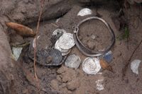 En vikingatida silverskatt som hittades på södra Gotland, i närheten av Sundre kyrka.