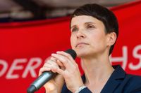 Frauke Petry, Alternative für Deutschlands partiledare, brottas med en vikande opinion inför valet till den tyska förbundsdagen i höst. Samtidigt dras partiet med inre slitningar.