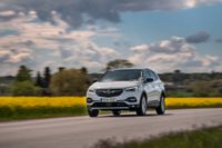 Opel Grandland X har funnits ett par år och kommer nu som laddhybrid. Namnet till trots är den inte särskilt stor, men ändå störst bland Opels suv-modeller. Foto: Anders Wiklund/TT (samtliga bilder)