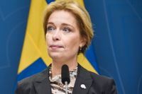 Klimat- och miljöminister Annika Strandhäll (S).