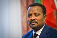 Etiopiens ambassadör i Sverige, Deriba Kuma Heiy.