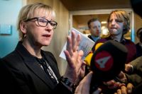 Margot Wallström mötte pressen före interpellationsdebatten i riksdagen på fredagen.