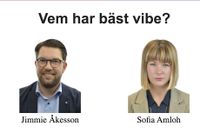 2 av 349 riksdagsledamöter: Jimmie Åkesson (SD) från Blekinge och Sofia Amloh (S) från Sörmland. 