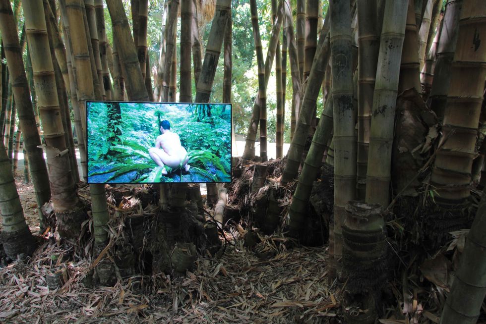 Zheng Bos märkliga verk ”Pteridophilia”. En film med nakna män  i en Taiwanesisk skog som är fysiskt intima med ormbunkar. Det är ett annat sätt att tänka på naturen och våra inre gränser för vad som är möjligt.
