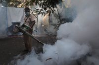Personal med rökaggregat jobbar på en gata i Bombay (Mumbai) vid ett utbrott av denguefeber i fjol.