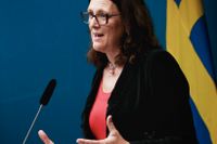 Cecilia Malmström presenteras som potentiell generalsekreterare till OECD på tisdagen.