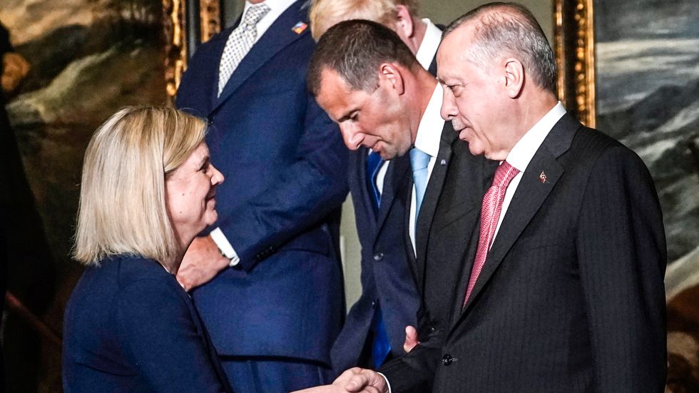 Sveriges statsminister Andersson skakar hand med Turkiets president Erdogan.