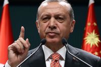 President Erdoğan i har denna sommar har dragit igång häxjakten mot dissidenter i Turkiet, skriver Bitte Hammargren.