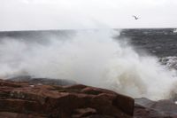Vågor som bryts på havsytan bidrar till att giftiga PFAS-ämnen återvänder från havet till land, visar en svensk studie. Arkivbild.