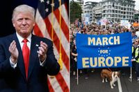 En möjlig vinst för Trump i USA och britternas uttåg ur EU. Det finns flera faktorer som bidrar till att den globala ekonomins framtid ter sig instabil.
