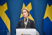 Klimat- och miljöminister Annika Strandhäll vid dagens pressträff.