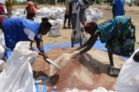 Det blir allt svårare för hjälparbetare att ta sig till olika områden i Sydsudan, till följd av konflikten i landet. FN:s livsmedelsprogram WFP:s Gune Margaret hjälper till att distribuera durra som sänts med flyg till staden Leer. Arkivbild.