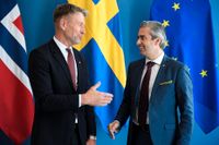 Norges olje- och energiminister Terje Aasland (AP) och energiminister Khashayar Farmanbar (S) aviserar nordiskt samarbete.