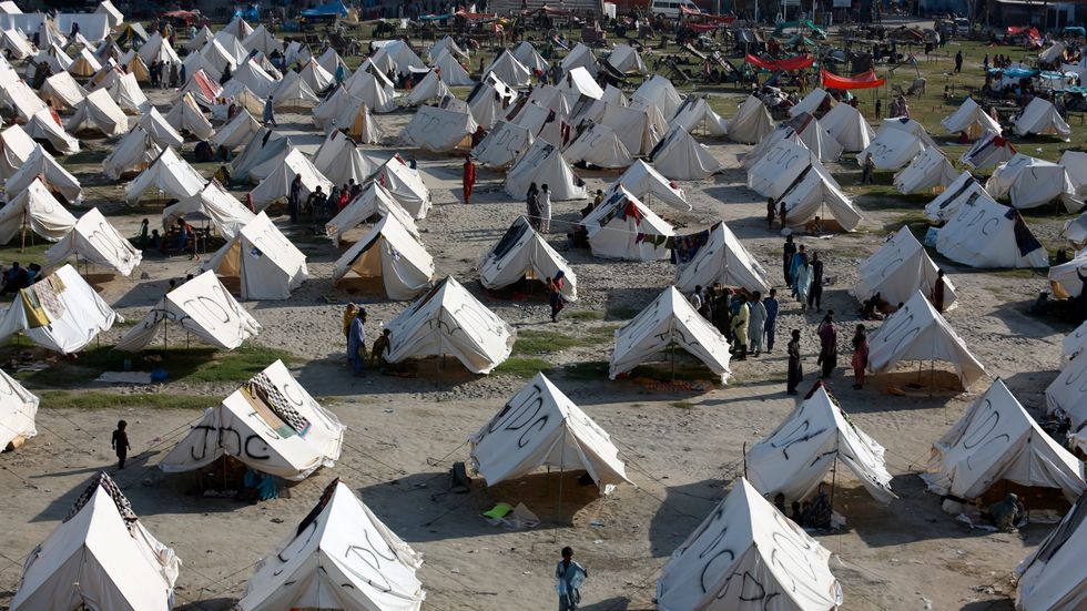 Tillfälliga tältbostäder i Larkana-området i Pakistan. Omkring 600 000 människor har blivit hemlösa till följd av de senaste veckornas väderkatastrof.