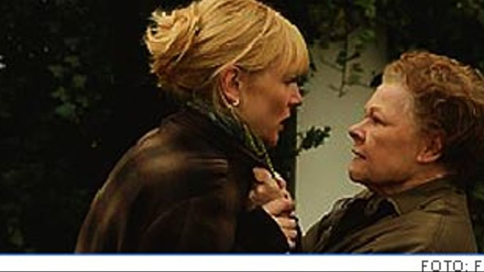 Cate Blanchett som bildläraren Sheba bedrar sin man med en 15-årig elev. Kollegan Barbara, spelad av Judi Dench, kommer dem på spåren.