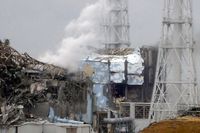 En kraftig tsunami orsakade i mars 2011 stor ödeläggelse i Japan och slog ut kylsystemet på kärnkraftverket Daiichi i Fukushima, vilket ledde till den värsta kärnkraftskatastrofen i världen på 25 år.