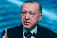 Turkiets president Recep Tayyip Erdogan – som inte tror på räntehöjningar för att kyla av ekonomin – har sedan centralbankschefer och topparna på statistikbyrån Turkstat bytts ut full kontroll över landets penningpolitik, enligt bedömare.