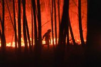 Omfattande skogsbränder i Portugal september 2020. Studier visar en allt tydligare koppling mellan klimatförändringar och ökad brandrisk. Arkivbild.