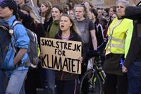 Greta Thunberg demonstrerade i Stockholm när Fridays for Future arrangerade klimatstrejker runtom i landet på fredagen.