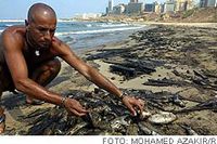 En libanes samlar ihop döda fiskar som flutit iland på Beiruts stränder. Kriget hindrar den nödvändiga oljesaneringen.