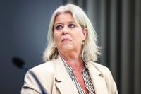 Socialtjänstminister Camilla Waltersson Grönvall (M) säger att Sis har krav på sig via bland annat regleringsbrevet.