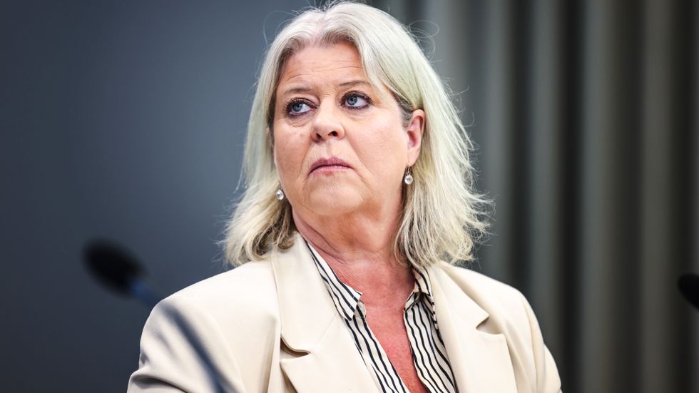 Socialtjänstminister Camilla Waltersson Grönvall (M) säger att Sis har krav på sig via bland annat regleringsbrevet.